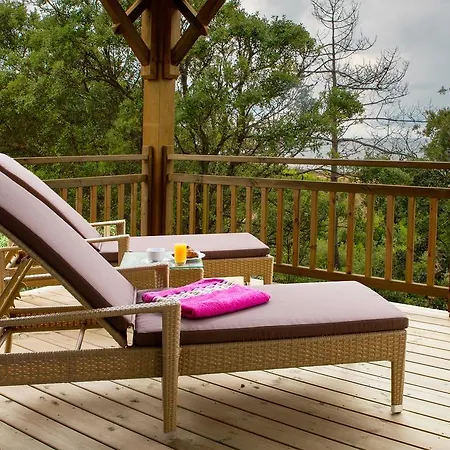 فندق مبيت وإفطار Le Lys Des Sables سولاك سور مير