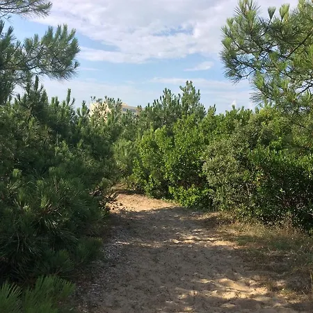 Le Lys Des Sables فندق مبيت وإفطار سولاك سور مير