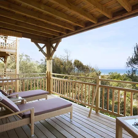 Le Lys Des Sables * 滨海苏拉克