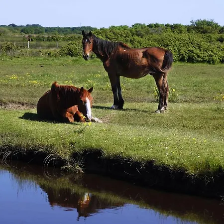 住宿加早餐酒店 Le Lys Des Sables *