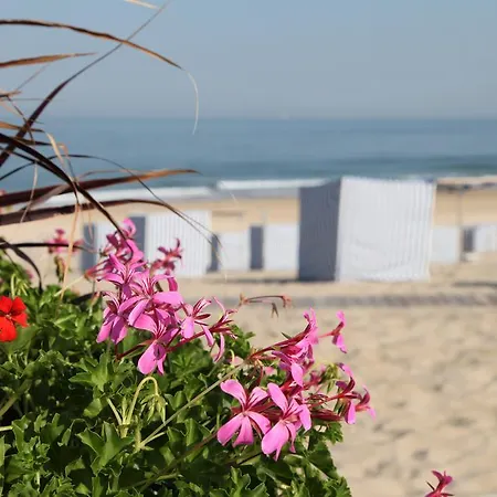 住宿加早餐酒店 Le Lys Des Sables 滨海苏拉克