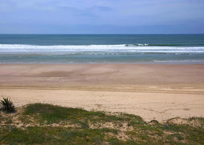 Le Lys Des Sables Bed and breakfast *