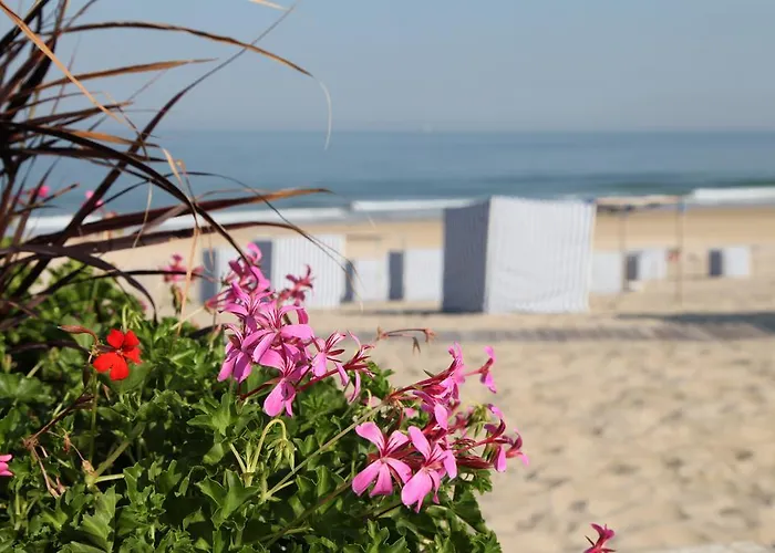 Bed and breakfast Le Lys Des Sables Soulac-sur-Mer