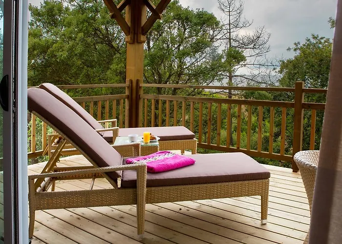 Bed and breakfast Le Lys Des Sables Soulac-sur-Mer