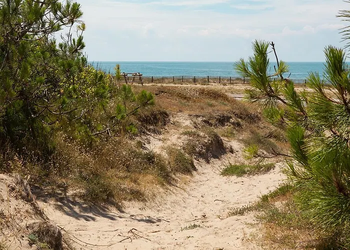 Bed and breakfast Le Lys Des Sables *