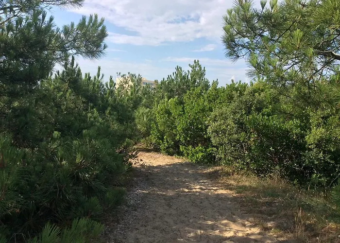 Le Lys Des Sables Bed and breakfast Soulac-sur-Mer